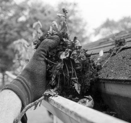 Gutter Cleaning